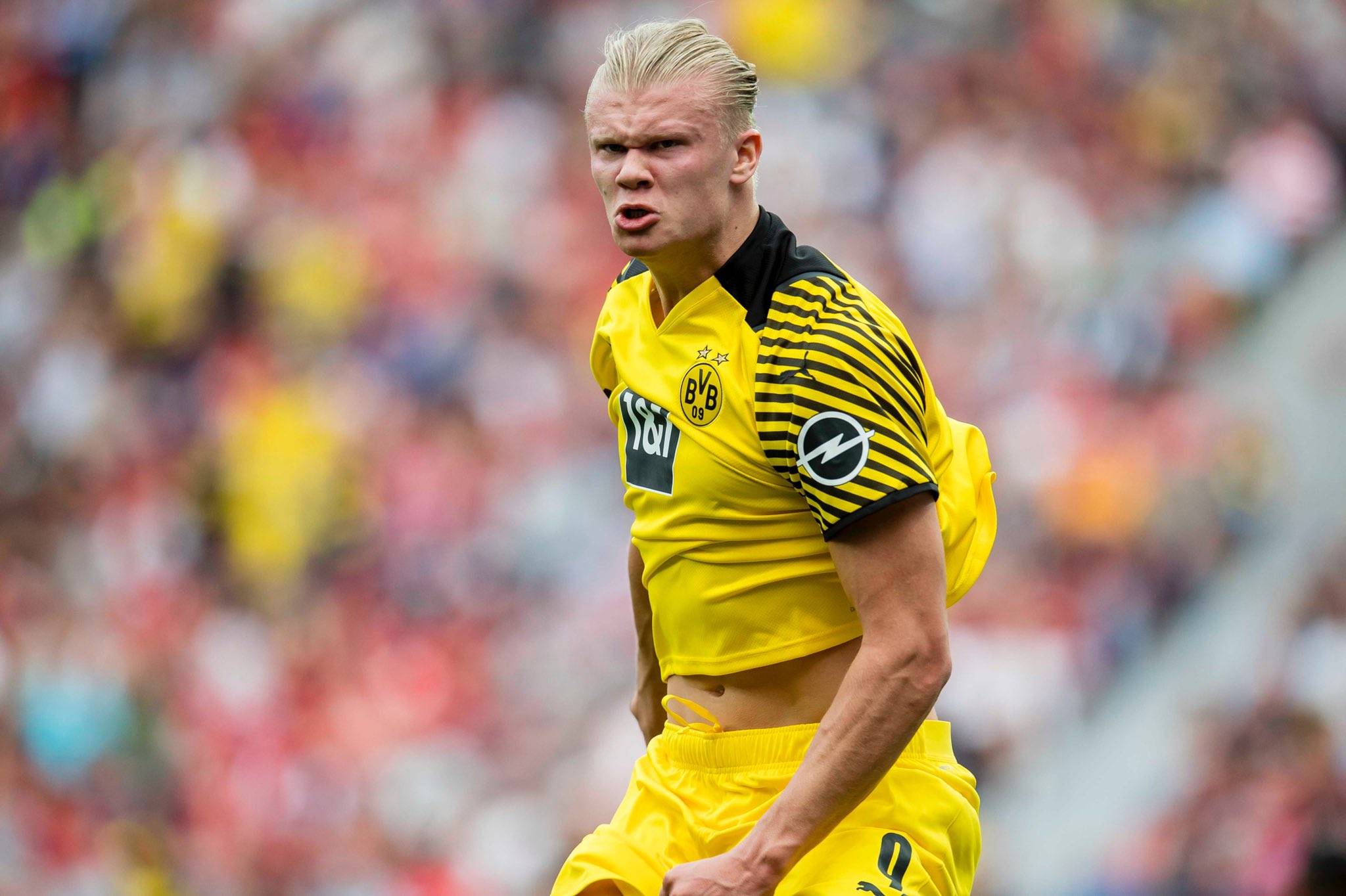 制造幻觉 制造幻觉